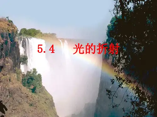 八年级物理《探究光的折射规律》[1]PPT课件