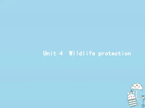 (通用版)2021版高考英语大一轮复习Unit4Wildlifeprotection课件新人教版必修2