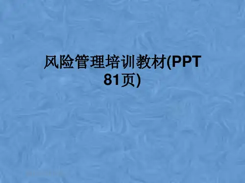 风险管理培训教材(PPT 81页)