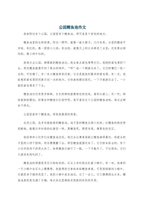 公园鲤鱼池作文