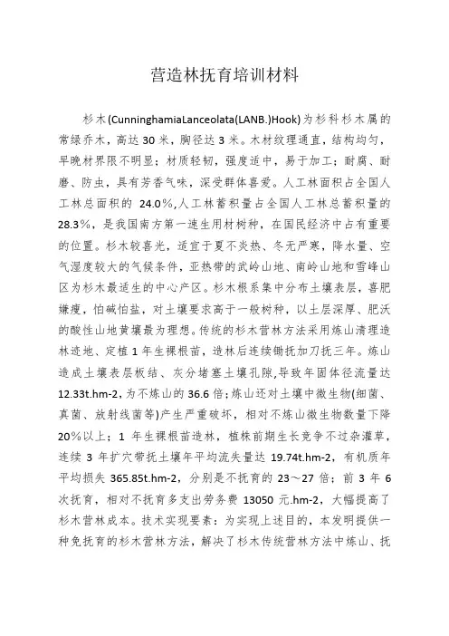 营造林抚育培训材料