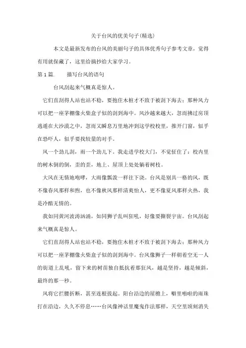 台风的优美句子