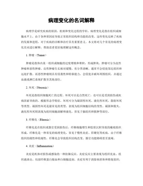 病理变化的名词解释