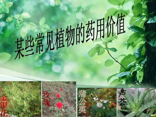 生物：某些常见植物的药用价值