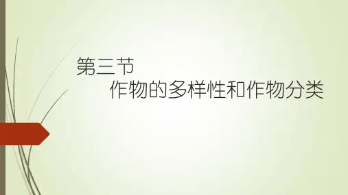 作物栽培学总论作物的分类PPT