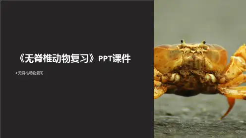 《无脊椎动物复习》课件