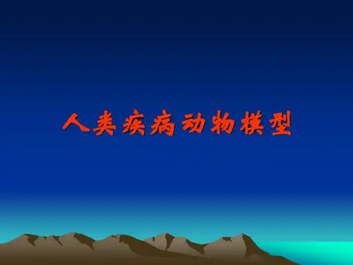 动物模型