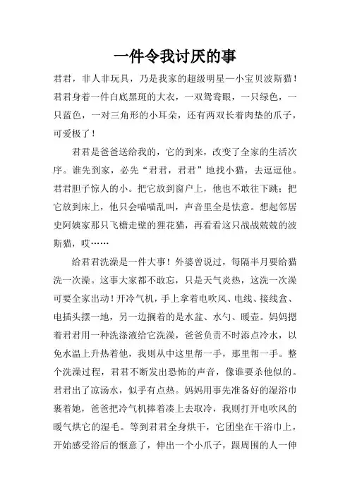 一件令我讨厌的事