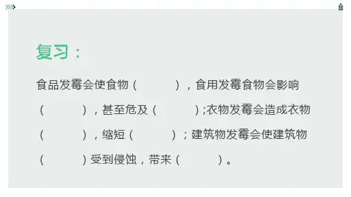 第16课 怎样才省力(教学课件)-五年级科学下册同步精品课堂系列(冀人版)