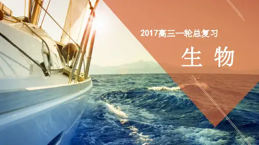 高考生物一轮复习 第九单元 生物与环境 专题32 生态环境的保护课件(必修3)