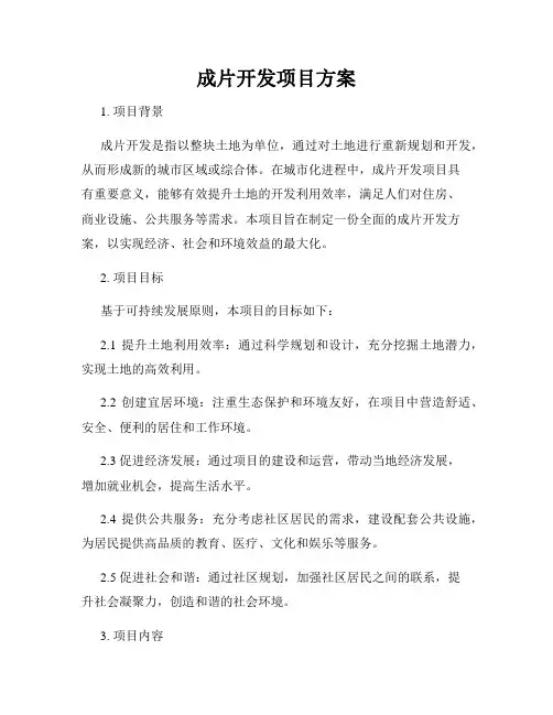 成片开发项目方案