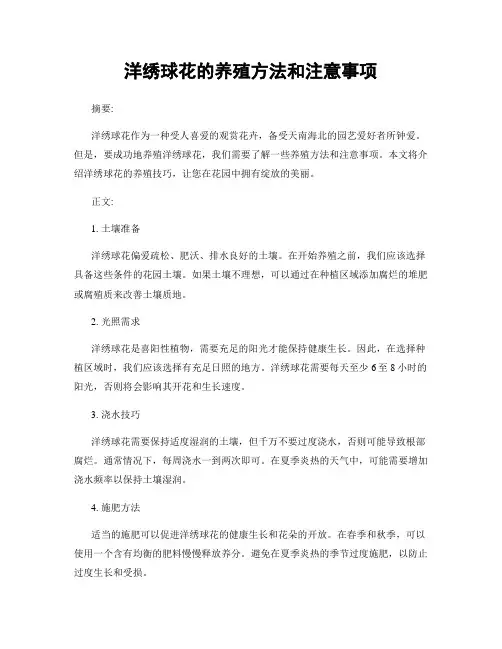 洋绣球花的养殖方法和注意事项