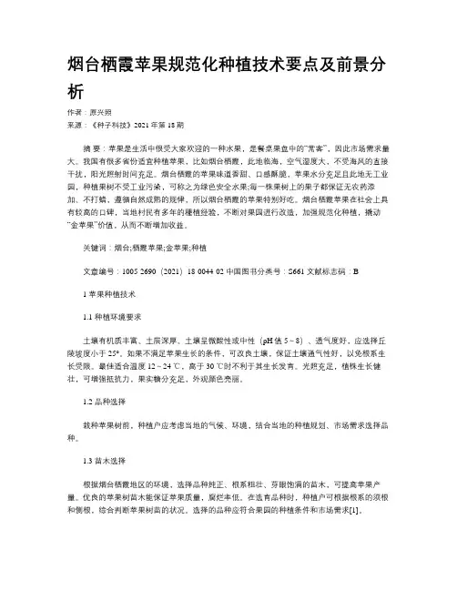 烟台栖霞苹果规范化种植技术要点及前景分析