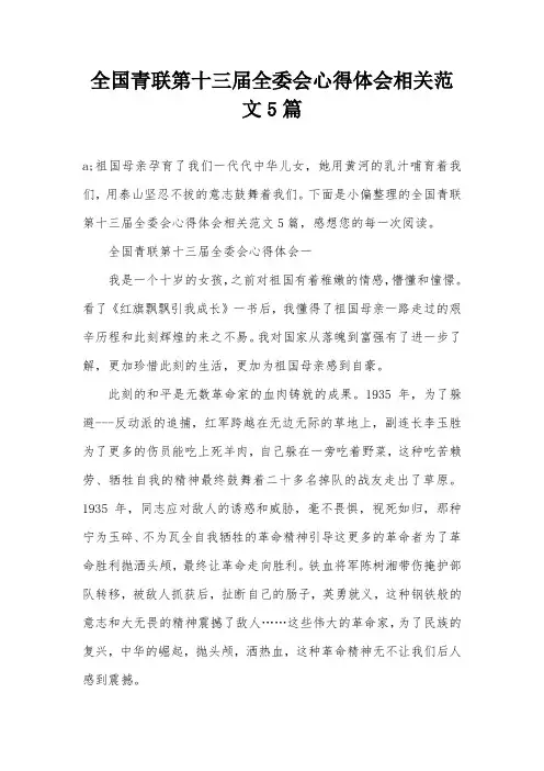全国青联第十三届全委会心得体会相关范文5篇