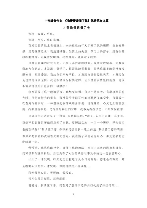 中考满分作文 《我慢慢读懂了你》优秀范文3篇