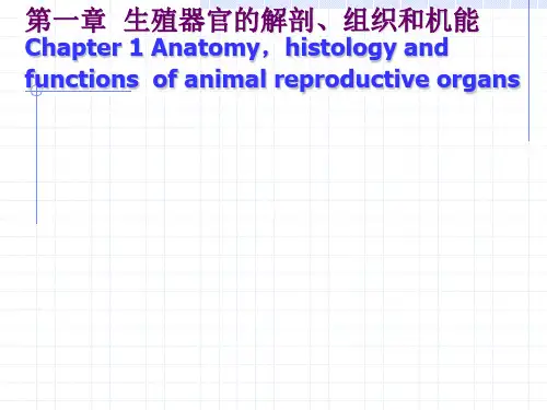 家畜繁殖学第一章、