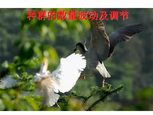 种群的数量波动及调节