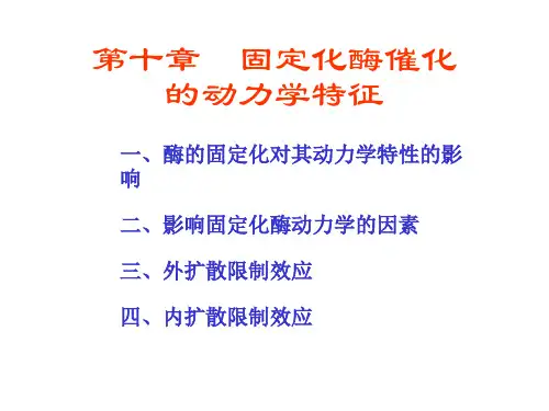 酶工程第10章固定化酶催化的动力学特征)