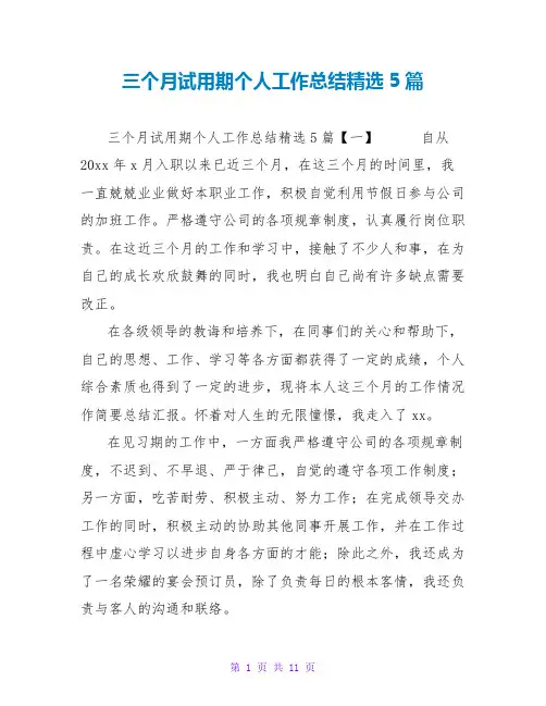 三个月试用期个人工作总结精选5篇
