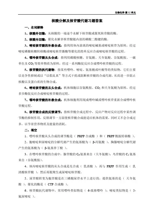 13 核苷酸代谢及蛋白质合成
