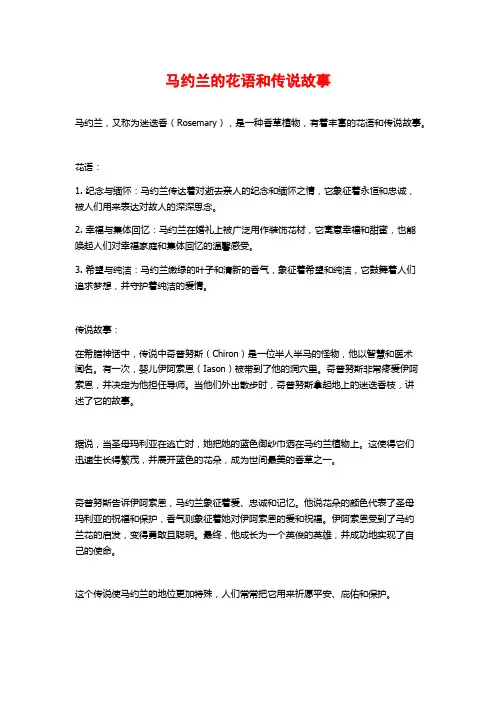 马约兰的花语和传说故事