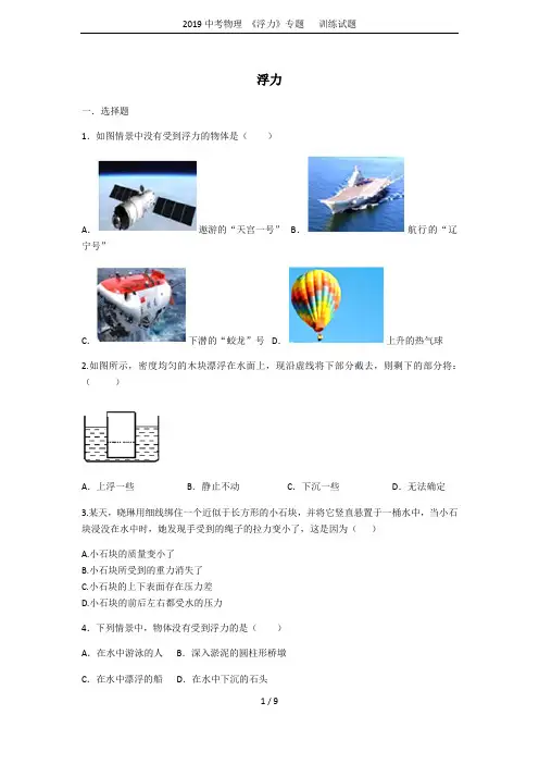 2019中考物理 《浮力》专题   训练试题
