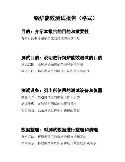 锅炉能效测试报告(格式)