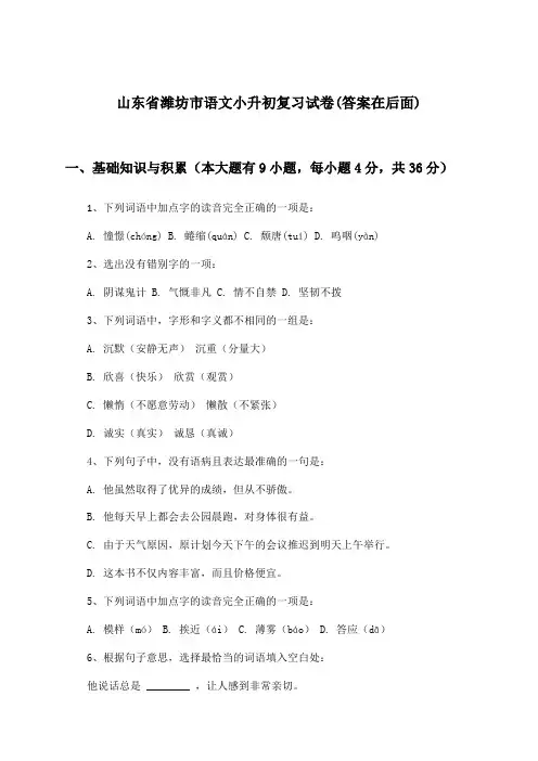 山东省潍坊市语文小升初试卷与参考答案