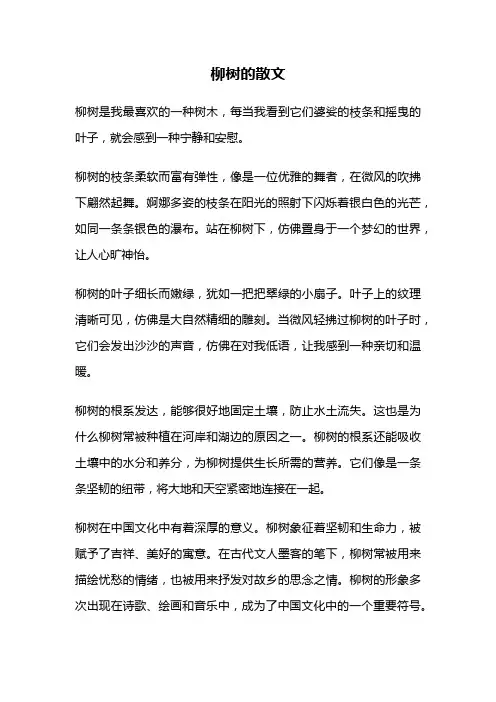 柳树的散文