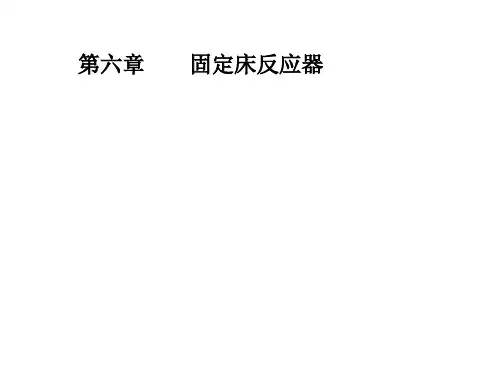 第6章固定床反应器.