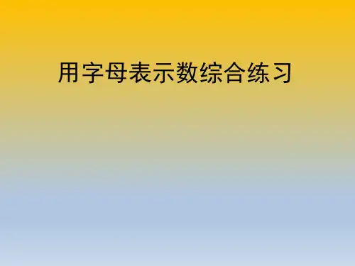 五四青岛版四年级上册数学用字母表示数综合练习课件