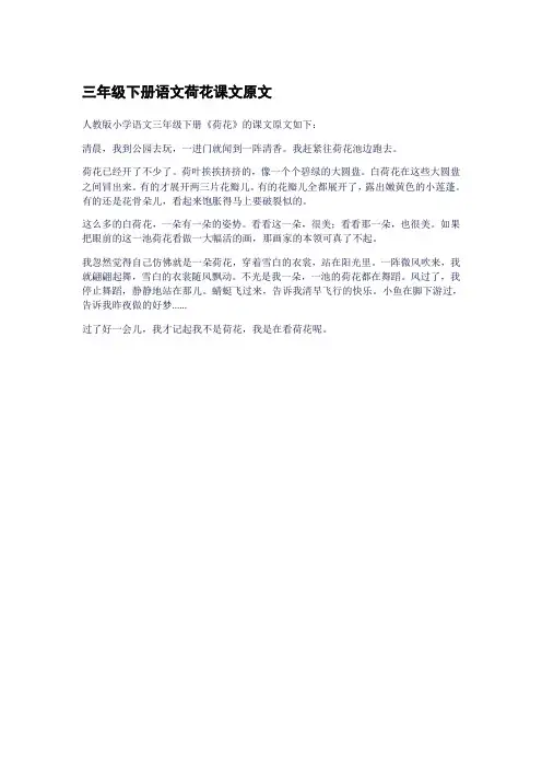 三年级下册语文荷花课文原文
