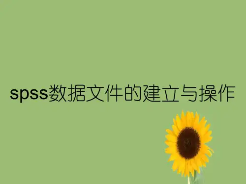 spss数据文件的建立与操作