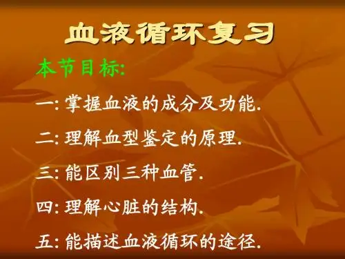 血液循环复习课件
