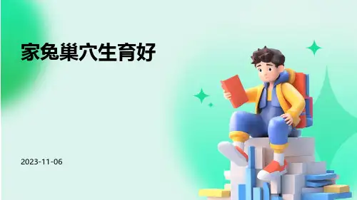 家兔巢穴生育好