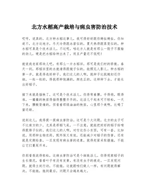 北方水稻高产栽培与病虫害防治技术