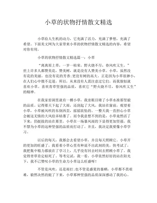 小草的状物抒情散文精选