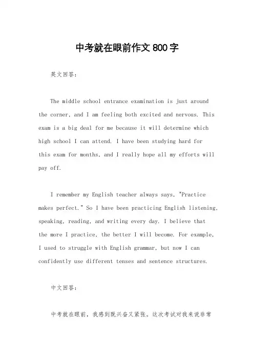中考就在眼前作文800字