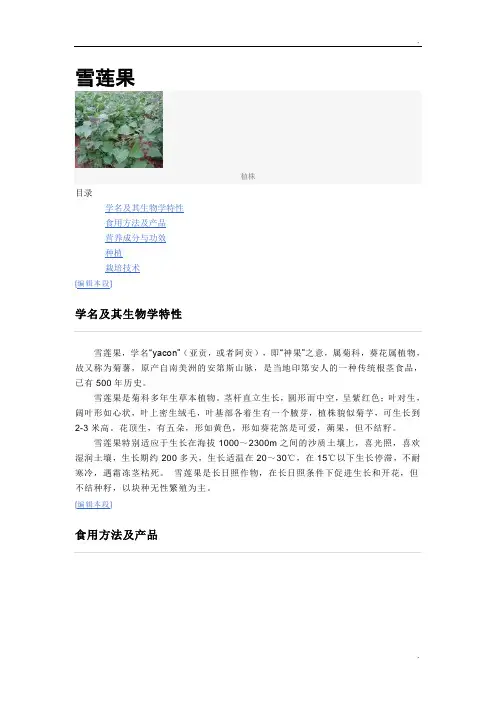 雪莲果