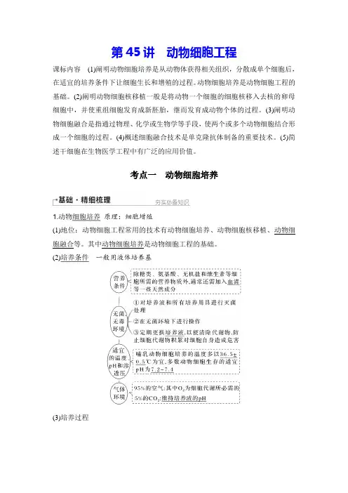 第45讲 动物细胞工程