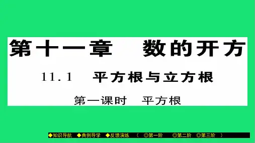 八年级数学上册第十一章数的开方 平方根与立方根 课件华东师大版