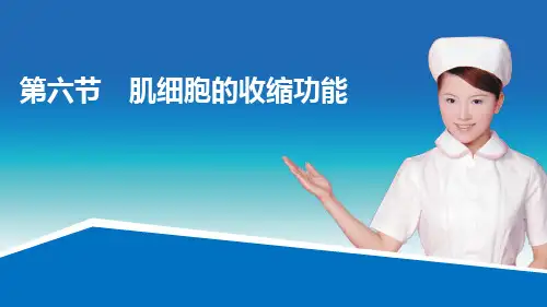 生理学课程教学课件：第二章骨骼肌收缩的功能原理