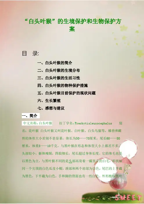 白头叶猴