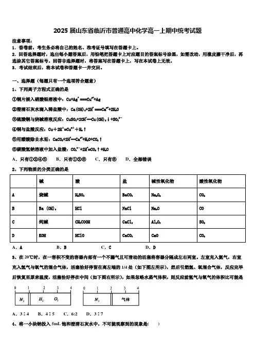 2025届山东省临沂市普通高中化学高一上期中统考试题含解析