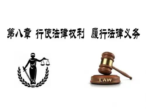 第八章__行使法律权利___履行法律义务(2015版)