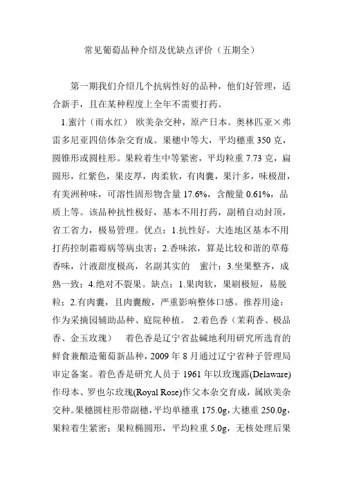 常见葡萄品种介绍及优缺点评价(五期全)