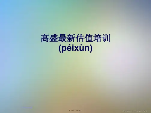 高盛最新估值培训