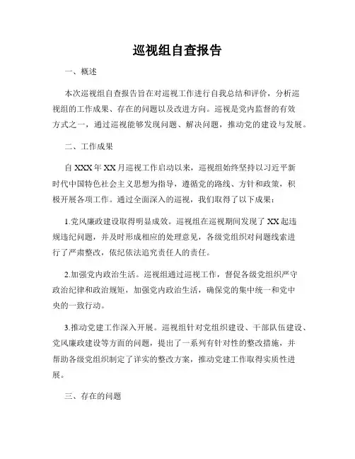 巡视组自查报告