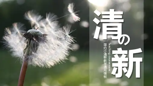 简约小清新教学通用模板
