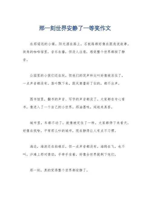 那一刻世界安静了一等奖作文